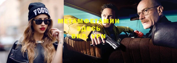 ПСИЛОЦИБИНОВЫЕ ГРИБЫ Богданович
