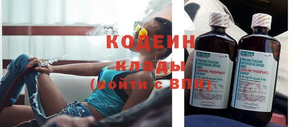 ПСИЛОЦИБИНОВЫЕ ГРИБЫ Богданович