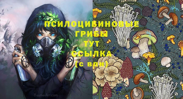 PSILOCYBIN Бугульма