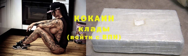 ПСИЛОЦИБИНОВЫЕ ГРИБЫ Богданович