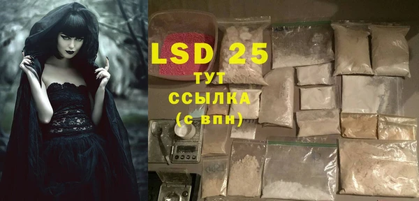 PSILOCYBIN Богородицк