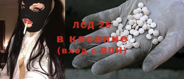 ПСИЛОЦИБИНОВЫЕ ГРИБЫ Богданович